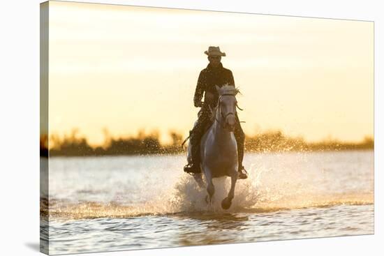 Gardian, Cowboy and Horseman of the Camargue, Camargue, France-Peter Adams-Stretched Canvas