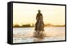 Gardian, Cowboy and Horseman of the Camargue, Camargue, France-Peter Adams-Framed Stretched Canvas