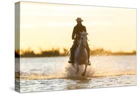 Gardian, Cowboy and Horseman of the Camargue, Camargue, France-Peter Adams-Stretched Canvas