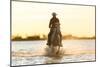 Gardian, Cowboy and Horseman of the Camargue, Camargue, France-Peter Adams-Mounted Photographic Print