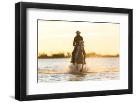 Gardian, Cowboy and Horseman of the Camargue, Camargue, France-Peter Adams-Framed Photographic Print