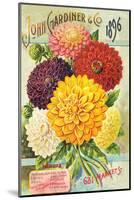 Gardiner Philadelphia Dahlias-null-Mounted Art Print