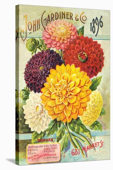 Gardiner Philadelphia Dahlias-null-Stretched Canvas