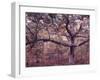 Gardiners Island-Alfred Eisenstaedt-Framed Photographic Print