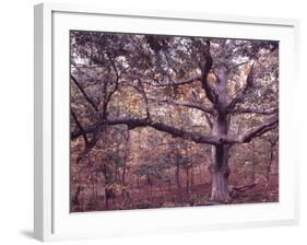 Gardiners Island-Alfred Eisenstaedt-Framed Photographic Print