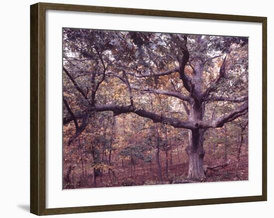 Gardiners Island-Alfred Eisenstaedt-Framed Photographic Print