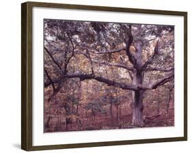 Gardiners Island-Alfred Eisenstaedt-Framed Photographic Print