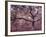 Gardiners Island-Alfred Eisenstaedt-Framed Photographic Print