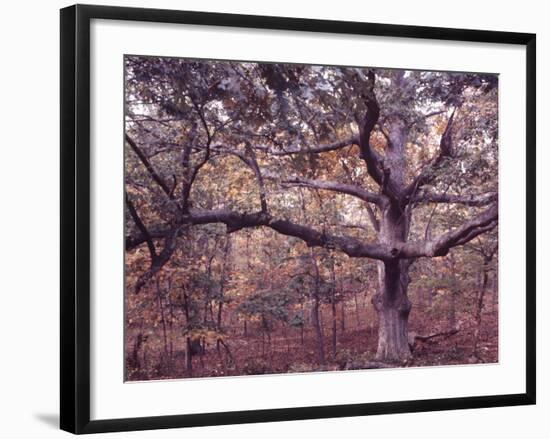 Gardiners Island-Alfred Eisenstaedt-Framed Photographic Print