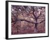 Gardiners Island-Alfred Eisenstaedt-Framed Photographic Print