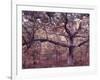 Gardiners Island-Alfred Eisenstaedt-Framed Photographic Print