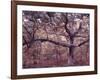 Gardiners Island-Alfred Eisenstaedt-Framed Photographic Print