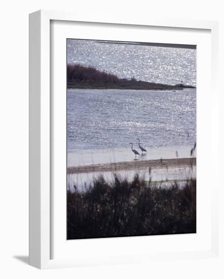 Gardiners Island-Alfred Eisenstaedt-Framed Photographic Print