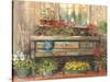 Gardners Table-Carol Rowan-Stretched Canvas