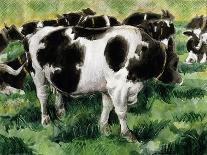 Friesian Cows-Gareth Lloyd Ball-Giclee Print