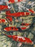 Koi Carp-Gareth Lloyd Ball-Giclee Print