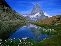 Matterhorn and the Riffelsee, Valais, Switzerland-Gareth McCormack-Stretched Canvas