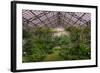 Garfield Park Conservatory Main Pond-Steve Gadomski-Framed Photographic Print