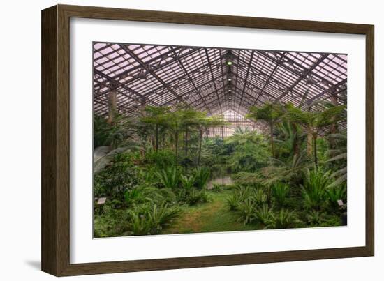 Garfield Park Conservatory Main Pond-Steve Gadomski-Framed Photographic Print