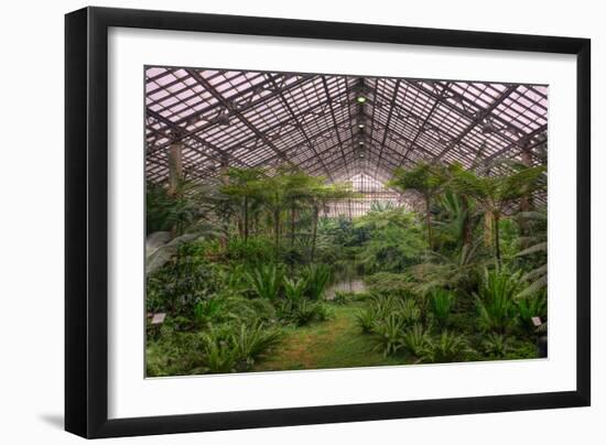 Garfield Park Conservatory Main Pond-Steve Gadomski-Framed Photographic Print