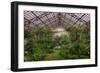 Garfield Park Conservatory Main Pond-Steve Gadomski-Framed Photographic Print