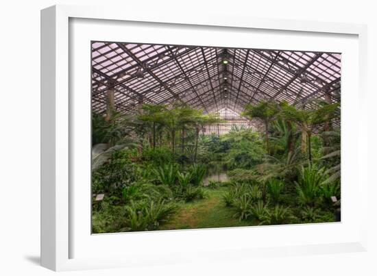 Garfield Park Conservatory Main Pond-Steve Gadomski-Framed Photographic Print