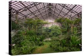 Garfield Park Conservatory Main Pond-Steve Gadomski-Stretched Canvas