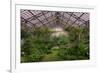 Garfield Park Conservatory Main Pond-Steve Gadomski-Framed Photographic Print