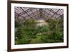 Garfield Park Conservatory Main Pond-Steve Gadomski-Framed Photographic Print