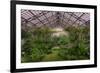 Garfield Park Conservatory Main Pond-Steve Gadomski-Framed Photographic Print