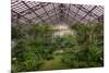 Garfield Park Conservatory Main Pond-Steve Gadomski-Mounted Photographic Print