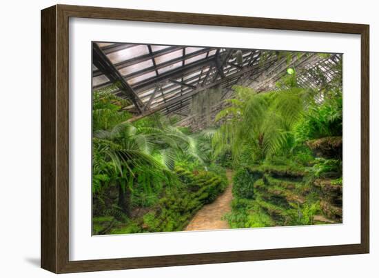 Garfield Park Conservatory Path Chicago-Steve Gadomski-Framed Photographic Print