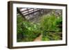 Garfield Park Conservatory Path Chicago-Steve Gadomski-Framed Photographic Print