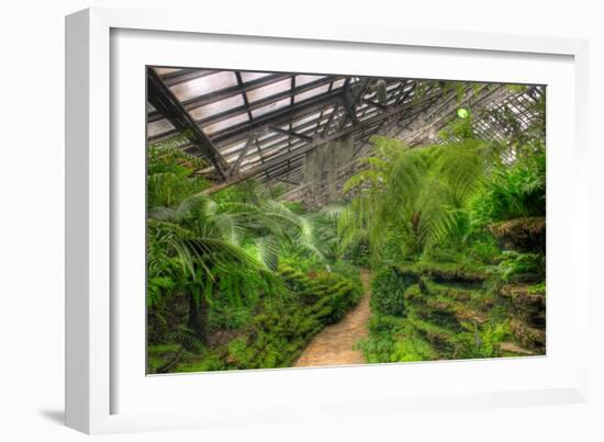 Garfield Park Conservatory Path Chicago-Steve Gadomski-Framed Photographic Print