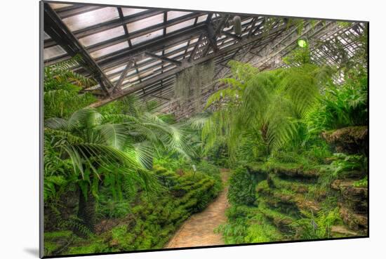 Garfield Park Conservatory Path Chicago-Steve Gadomski-Mounted Photographic Print