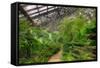 Garfield Park Conservatory Path Chicago-Steve Gadomski-Framed Stretched Canvas