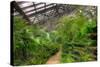 Garfield Park Conservatory Path Chicago-Steve Gadomski-Stretched Canvas