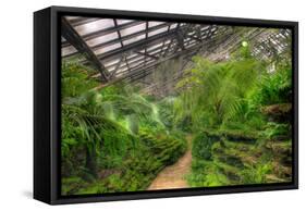 Garfield Park Conservatory Path Chicago-Steve Gadomski-Framed Stretched Canvas