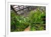 Garfield Park Conservatory Path Chicago-Steve Gadomski-Framed Photographic Print