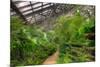 Garfield Park Conservatory Path Chicago-Steve Gadomski-Mounted Photographic Print