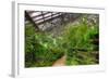 Garfield Park Conservatory Path Chicago-Steve Gadomski-Framed Photographic Print