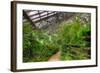 Garfield Park Conservatory Path Chicago-Steve Gadomski-Framed Photographic Print