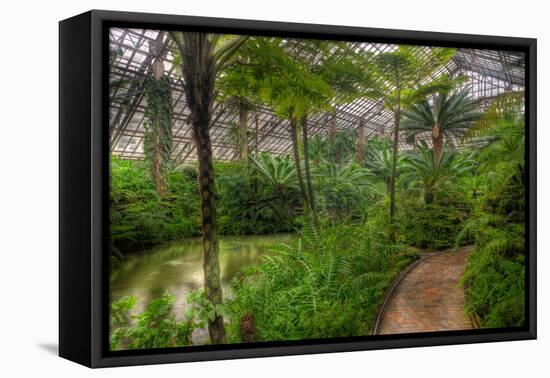 Garfield Park Conservatory Pond And Path Chicago-Steve Gadomski-Framed Stretched Canvas