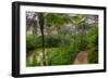 Garfield Park Conservatory Pond And Path Chicago-Steve Gadomski-Framed Photographic Print