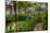 Garfield Park Conservatory Pond And Path Chicago-Steve Gadomski-Mounted Photographic Print
