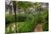 Garfield Park Conservatory Pond And Path Chicago-Steve Gadomski-Mounted Photographic Print