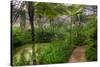 Garfield Park Conservatory Pond And Path Chicago-Steve Gadomski-Stretched Canvas