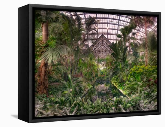 Garfield Park Conservatory Reflecting Pool-Steve Gadomski-Framed Stretched Canvas