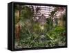 Garfield Park Conservatory Reflecting Pool-Steve Gadomski-Framed Stretched Canvas