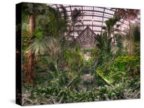 Garfield Park Conservatory Reflecting Pool-Steve Gadomski-Stretched Canvas